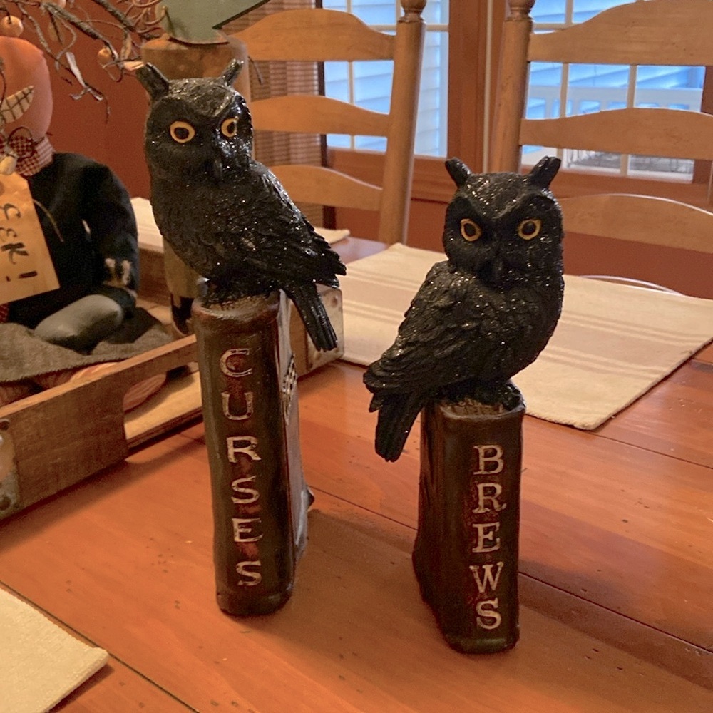 Raz Imports Owl Spell Books Curses and Brews Halloween Decor -Set